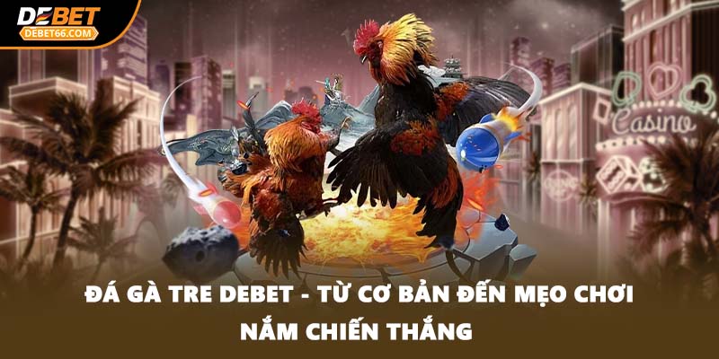 đá gà tre